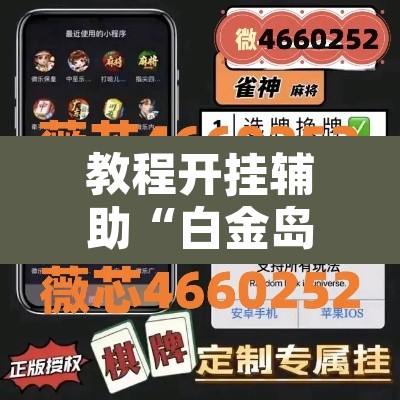 教程开挂辅助“白金岛跑胡子破解版	”附辅助神器开挂脚本详细步骤