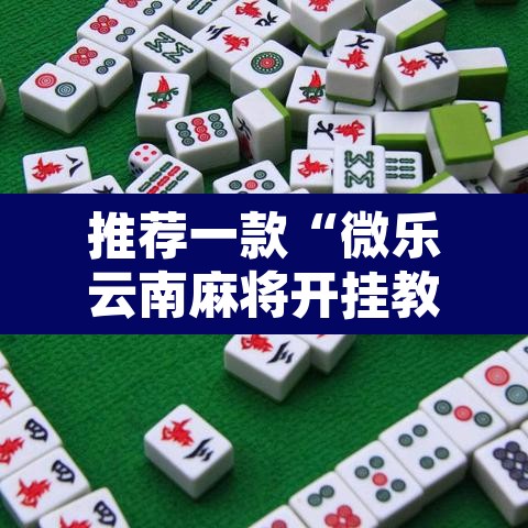 推荐一款“微乐云南麻将开挂教程”开挂辅助脚本+详细开挂安装教程