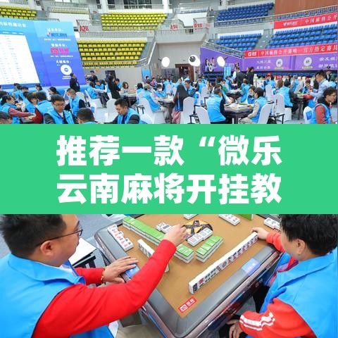 推荐一款“微乐云南麻将开挂教程	”开挂辅助脚本+详细开挂安装教程