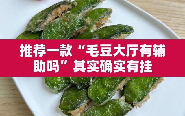 推荐一款“毛豆大厅有辅助吗”其实确实有挂