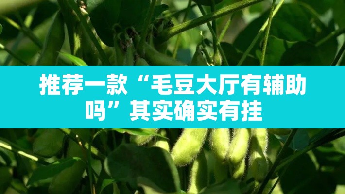推荐一款“毛豆大厅有辅助吗”其实确实有挂