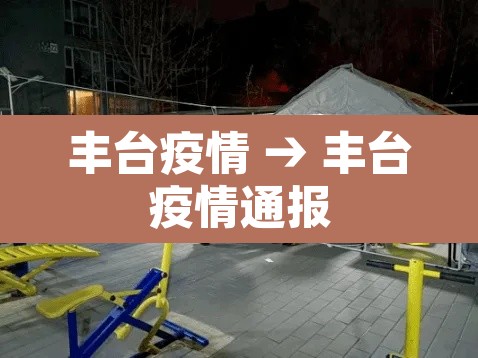 丰台疫情 → 丰台疫情通报 丰台疫情 → 丰台疫情通报