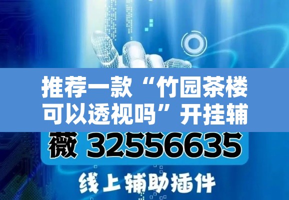 推荐一款“竹园茶楼可以透视吗”开挂辅助脚本+详细开挂安装教程