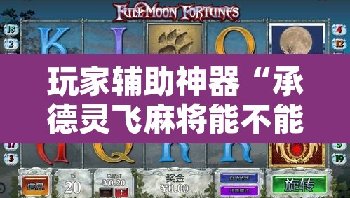 玩家辅助神器“承德灵飞麻将能不能开挂	”其实确实有挂