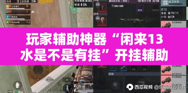 玩家辅助神器“闲来13水是不是有挂	”开挂辅助脚本+详细开挂安装教程