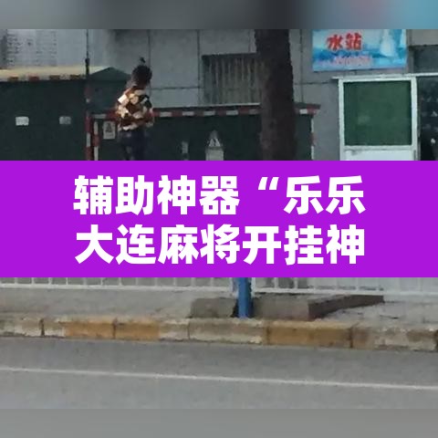 辅助神器“乐乐大连麻将开挂神器”附辅助神器开挂脚本详细步骤