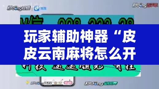 玩家辅助神器“皮皮云南麻将怎么开挂”(透视)其实确实有挂