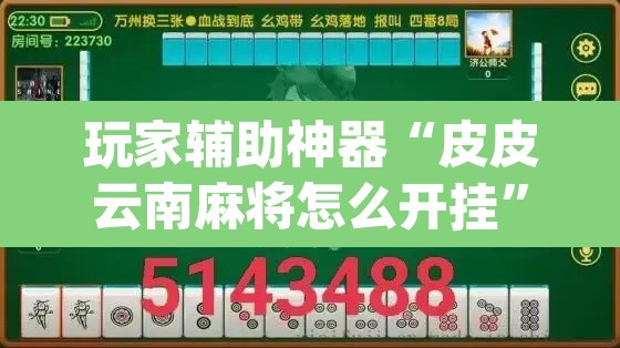 玩家辅助神器“皮皮云南麻将怎么开挂”(透视)其实确实有挂