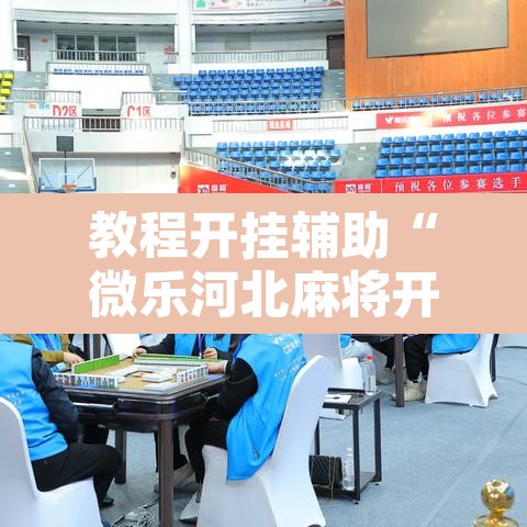 教程开挂辅助“微乐河北麻将开挂免费下载”其实确实有挂