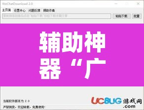 辅助神器“广西八一字牌透视软件”开挂辅助脚本+详细开挂安装教程
