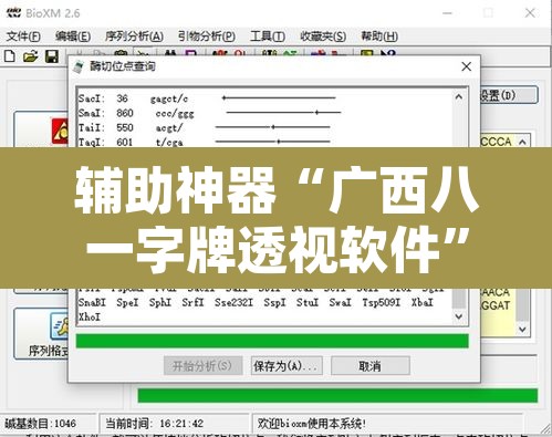 辅助神器“广西八一字牌透视软件”开挂辅助脚本+详细开挂安装教程