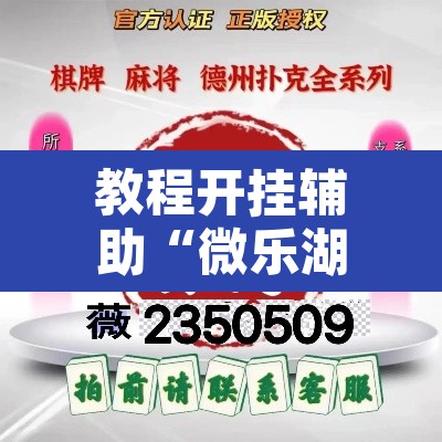 教程开挂辅助“微乐湖北麻将小程序怎么开挂	”其实确实有挂
