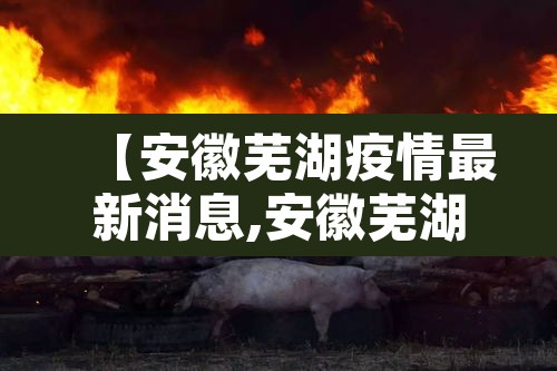 【安徽芜湖疫情最新消息,安徽芜湖疫情最新消息今天】