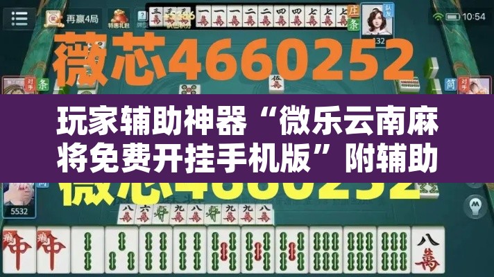 玩家辅助神器“微乐云南麻将免费开挂手机版	”附辅助神器开挂脚本详细步骤