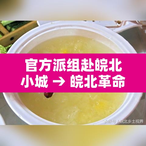 官方派组赴皖北小城 → 皖北革命遗址 官方派组赴皖北小城 → 皖北革命遗址