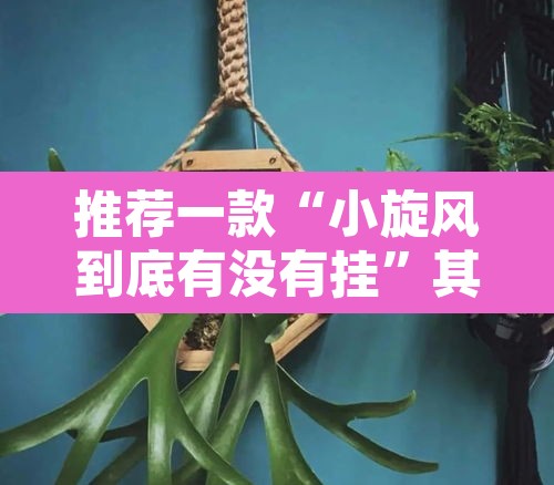 推荐一款“小旋风到底有没有挂”其实确实有挂