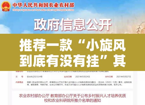 推荐一款“小旋风到底有没有挂”其实确实有挂