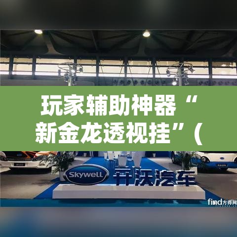 玩家辅助神器“新金龙透视挂	”(透视)其实确实有挂