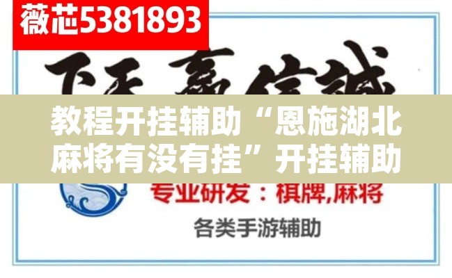 教程开挂辅助“恩施湖北麻将有没有挂	”开挂辅助脚本+详细开挂安装教程