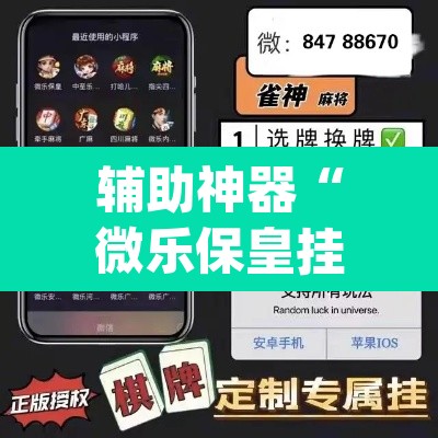 辅助神器“微乐保皇挂”(透视)其实确实有挂