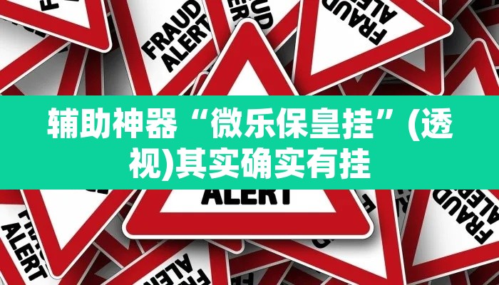 辅助神器“微乐保皇挂	”(透视)其实确实有挂