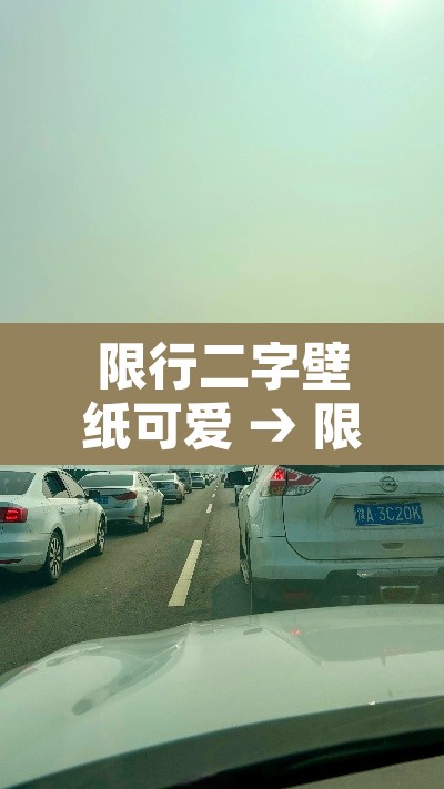 限行二字壁纸可爱 → 限行标识是什么样的