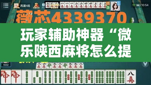 玩家辅助神器“微乐陕西麻将怎么提高胜率”附辅助神器开挂脚本详细步骤