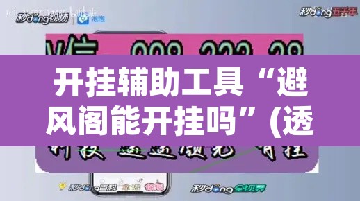 开挂辅助工具“避风阁能开挂吗”(透视挂)辅助透视教程