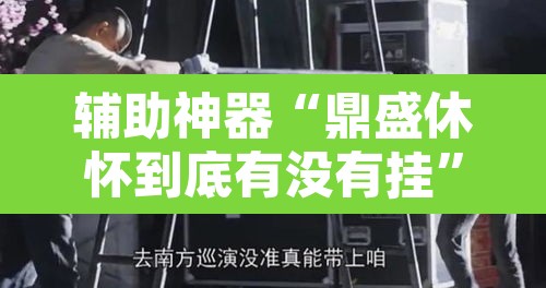辅助神器“鼎盛休怀到底有没有挂	”其实确实有挂