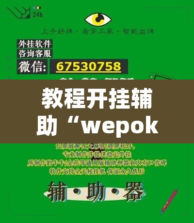 教程开挂辅助“wepokerplus德州透视挂”(透视挂)辅助透视教程