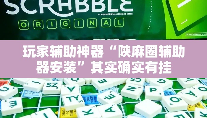 玩家辅助神器“陕麻圈辅助器安装”其实确实有挂