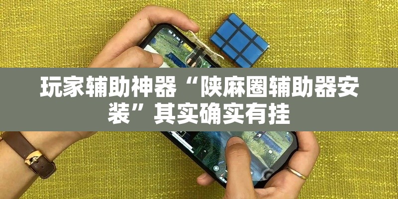 玩家辅助神器“陕麻圈辅助器安装”其实确实有挂