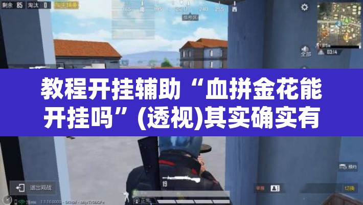 教程开挂辅助“血拼金花能开挂吗”(透视)其实确实有挂