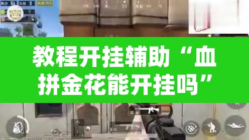 教程开挂辅助“血拼金花能开挂吗	”(透视)其实确实有挂