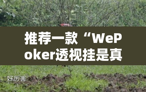 推荐一款“WePoker透视挂是真的假的”(透视)其实确实有挂