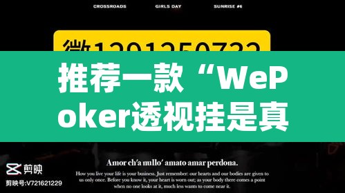 推荐一款“WePoker透视挂是真的假的”(透视)其实确实有挂