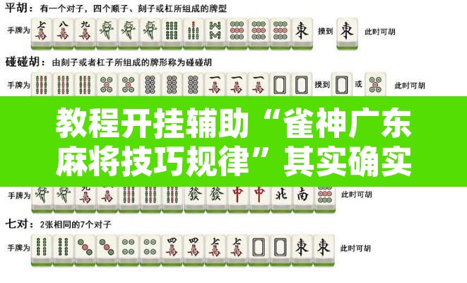 教程开挂辅助“雀神广东麻将技巧规律”其实确实有挂