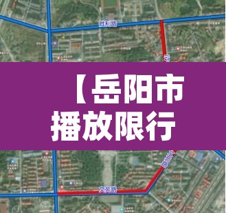 【岳阳市播放限行区域·2020岳阳限行规定】 【岳阳市播放限行区域·2020岳阳限行规定】