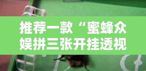 推荐一款“蜜蜂众娱拼三张开挂透视”(透视)其实确实有挂