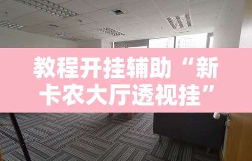 教程开挂辅助“新卡农大厅透视挂	”其实确实有挂