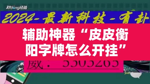 辅助神器“皮皮衡阳字牌怎么开挂	”开挂辅助脚本+详细开挂安装教程