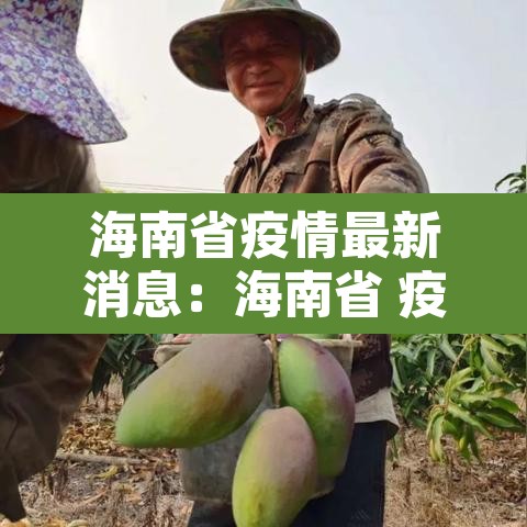 海南省疫情最新消息:海南省 疫情 海南省疫情最新消息:海南省 疫情