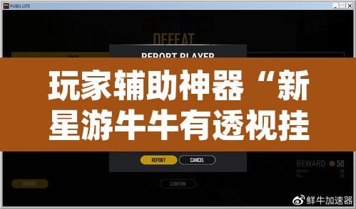 玩家辅助神器“新星游牛牛有透视挂吗”(透视挂)辅助透视教程