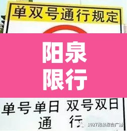 阳泉限行是怎么查到的:阳泉限行怎么处罚 阳泉限行是怎么查到的:阳泉限行怎么处罚