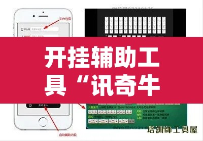 开挂辅助工具“讯奇牛牛有没有人装挂”(透视挂)辅助透视教程