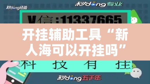 开挂辅助工具“新人海可以开挂吗	”其实确实有挂