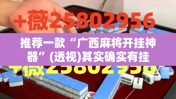 推荐一款“广西麻将开挂神器”(透视)其实确实有挂