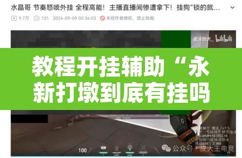 教程开挂辅助“永新打墩到底有挂吗”其实确实有挂