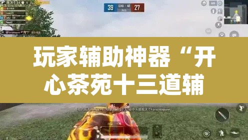 玩家辅助神器“开心茶苑十三道辅助开挂”(透视挂)辅助透视教程