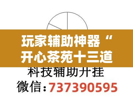 玩家辅助神器“开心茶苑十三道辅助开挂”(透视挂)辅助透视教程